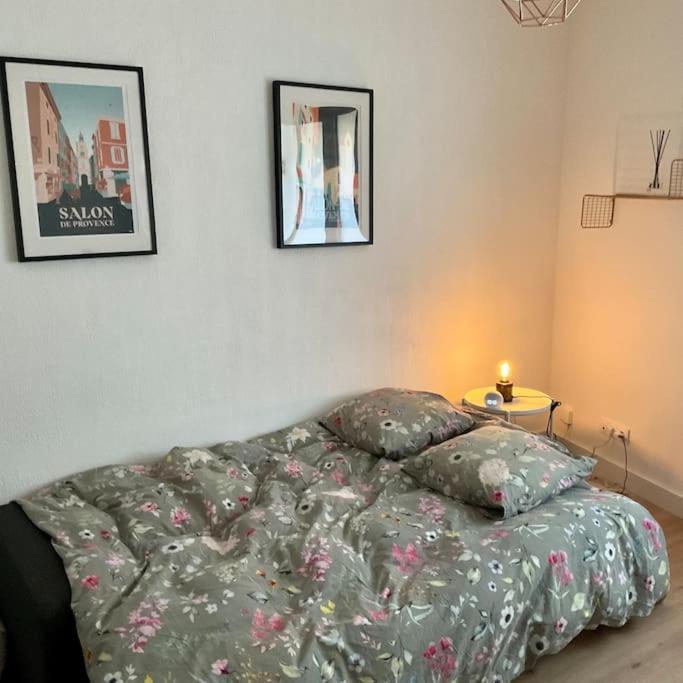 Appartement Hyper Centre Climatise ซาลง-เดอ-โพรวองซ์ ภายนอก รูปภาพ